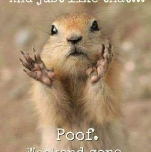 Meet your Posher, Anne